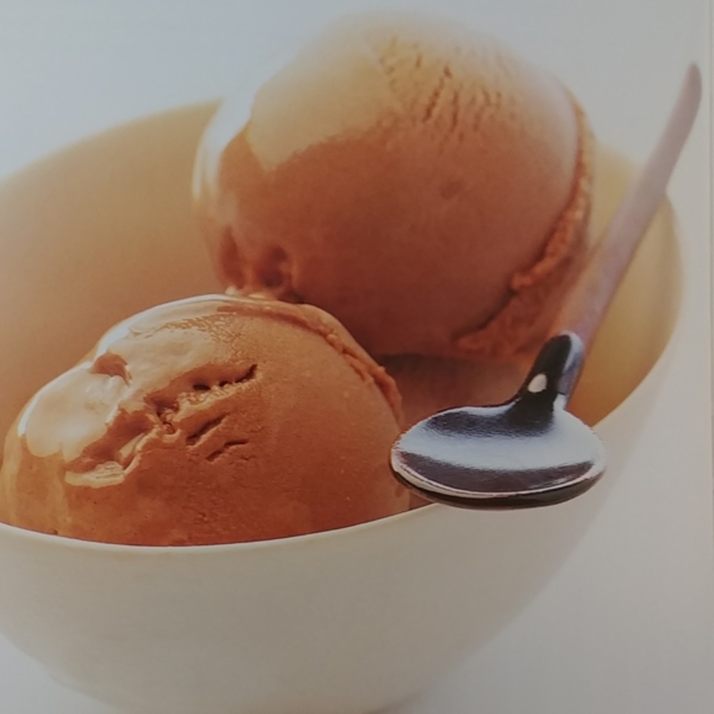 Ice Cream and Non-Dairy Ices Cookbook - Picture 8 of 8